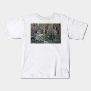 Tall, bare tree trunks. Kids T-Shirt